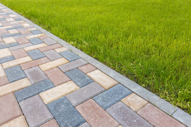Best Local Driveway Pavers  in Mount Pocono, PA